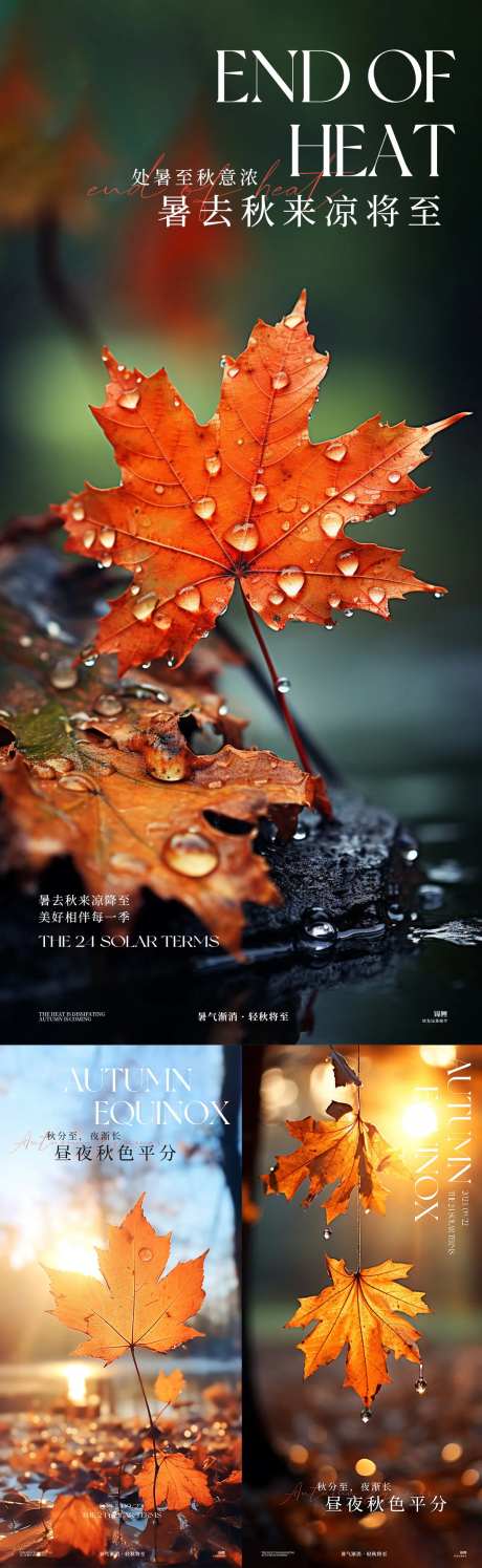 处暑秋分立秋枫叶落日系列海报-采灵感-https://www.cailinggan.com/