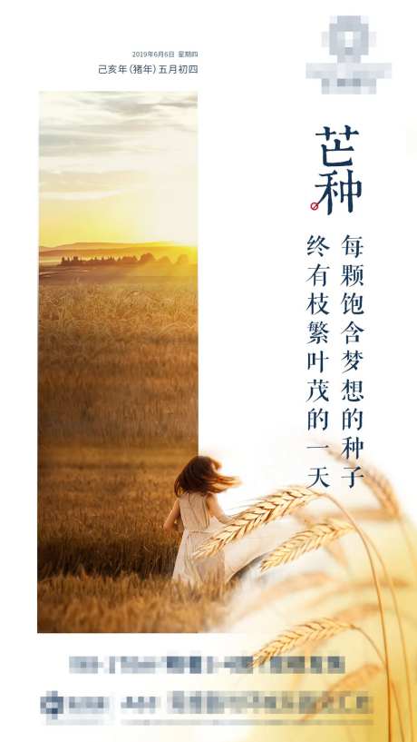 简约温馨芒种地产微信移动端海报-采灵感-https://www.cailinggan.com/