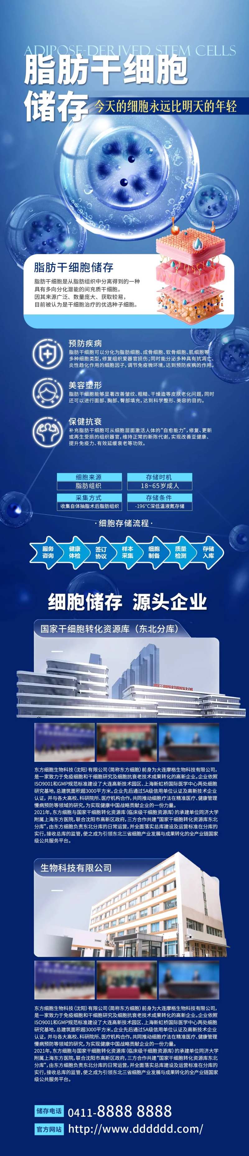 脂肪干细胞储存海报-采灵感-cailinggan.com
