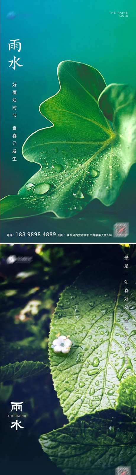 雨水质感绿色海报-采灵感-https://www.cailinggan.com/