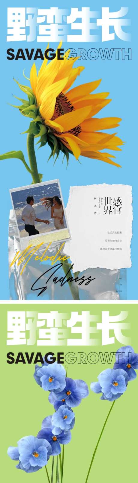 杂志视觉系列微信海报-采灵感-https://www.cailinggan.com/