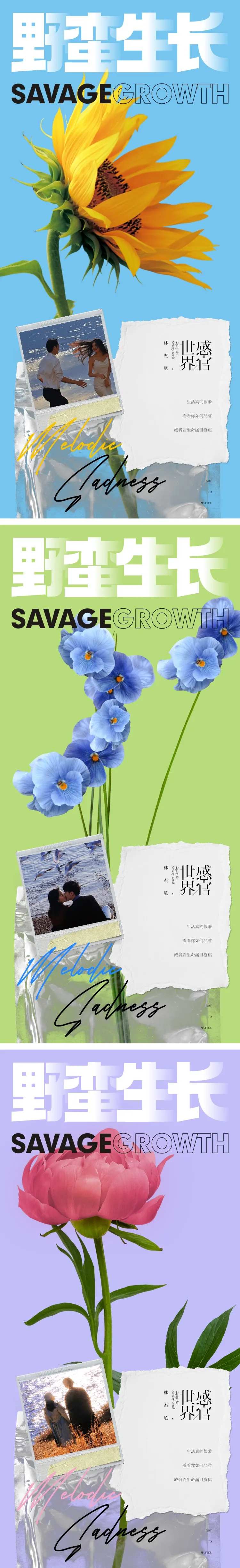 杂志视觉系列微信海报-采灵感-cailinggan.com