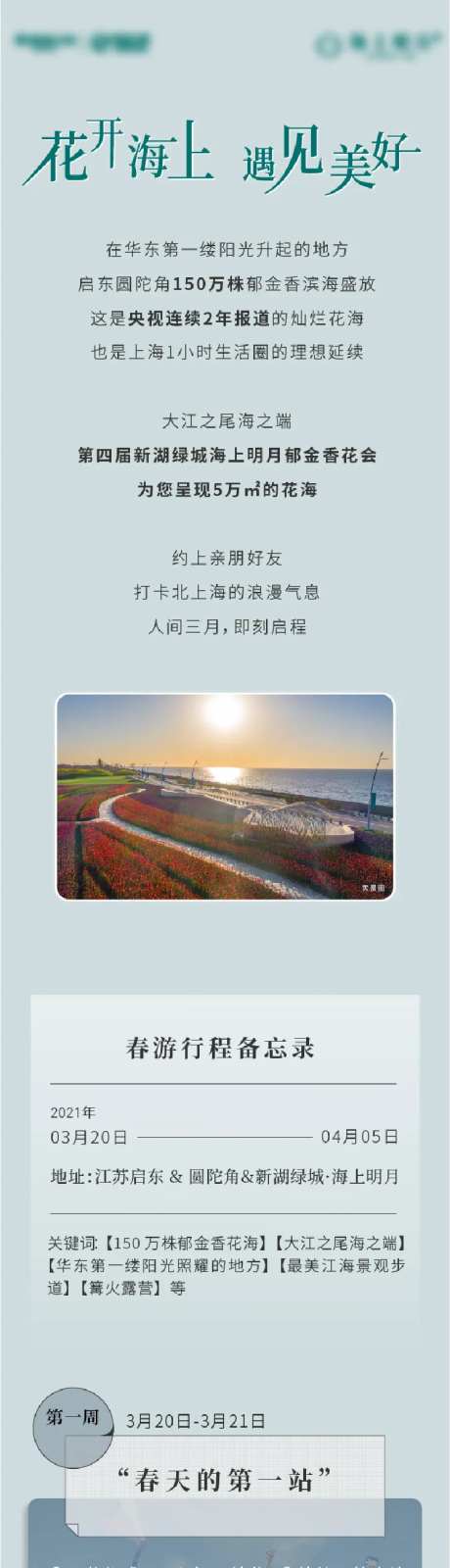 郁金香活动长图专题设计-采灵感-https://www.cailinggan.com/