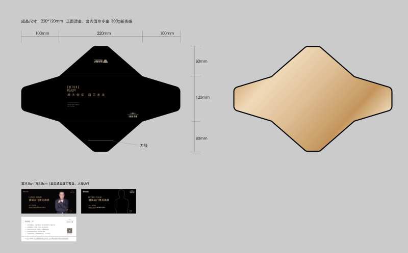 演唱会信封套-采灵感-cailinggan.com