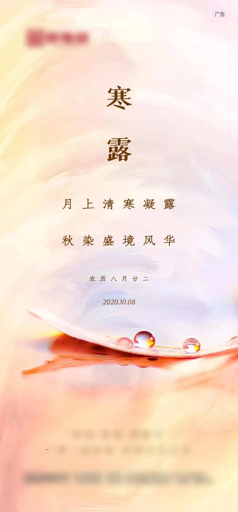 寒露节气海报-采灵感-cailinggan.com