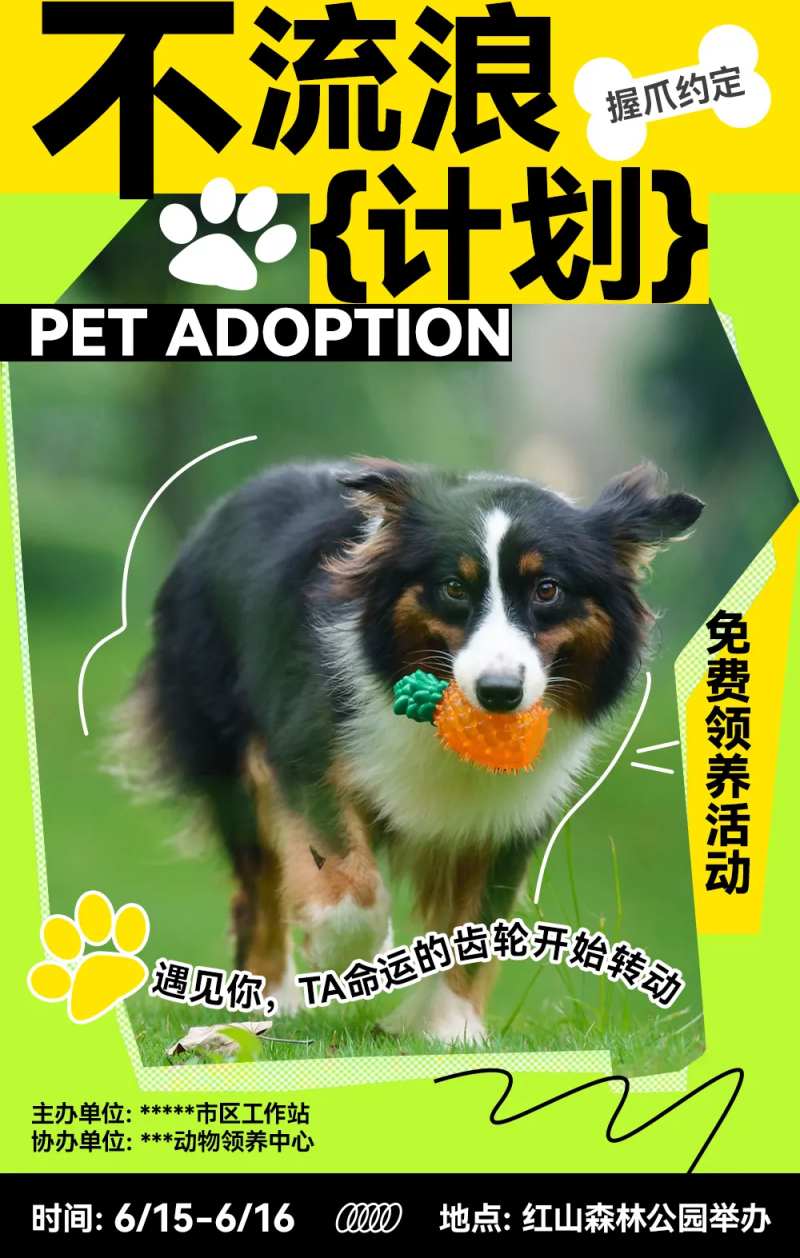 宠物领养海报-采灵感-cailinggan.com