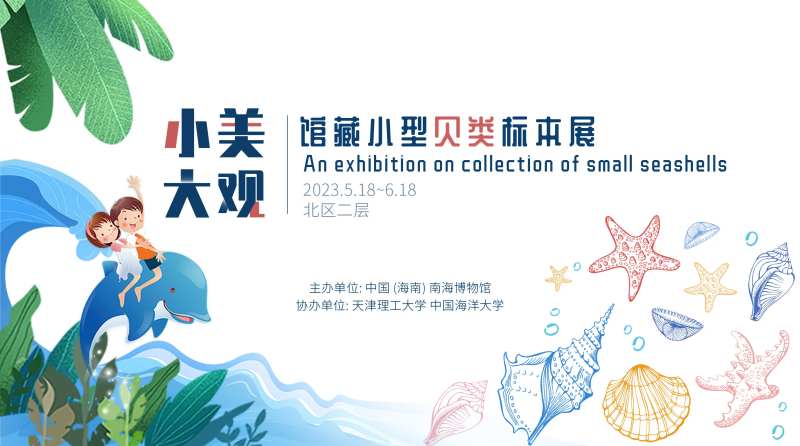 贝壳展主画面-采灵感-cailinggan.com