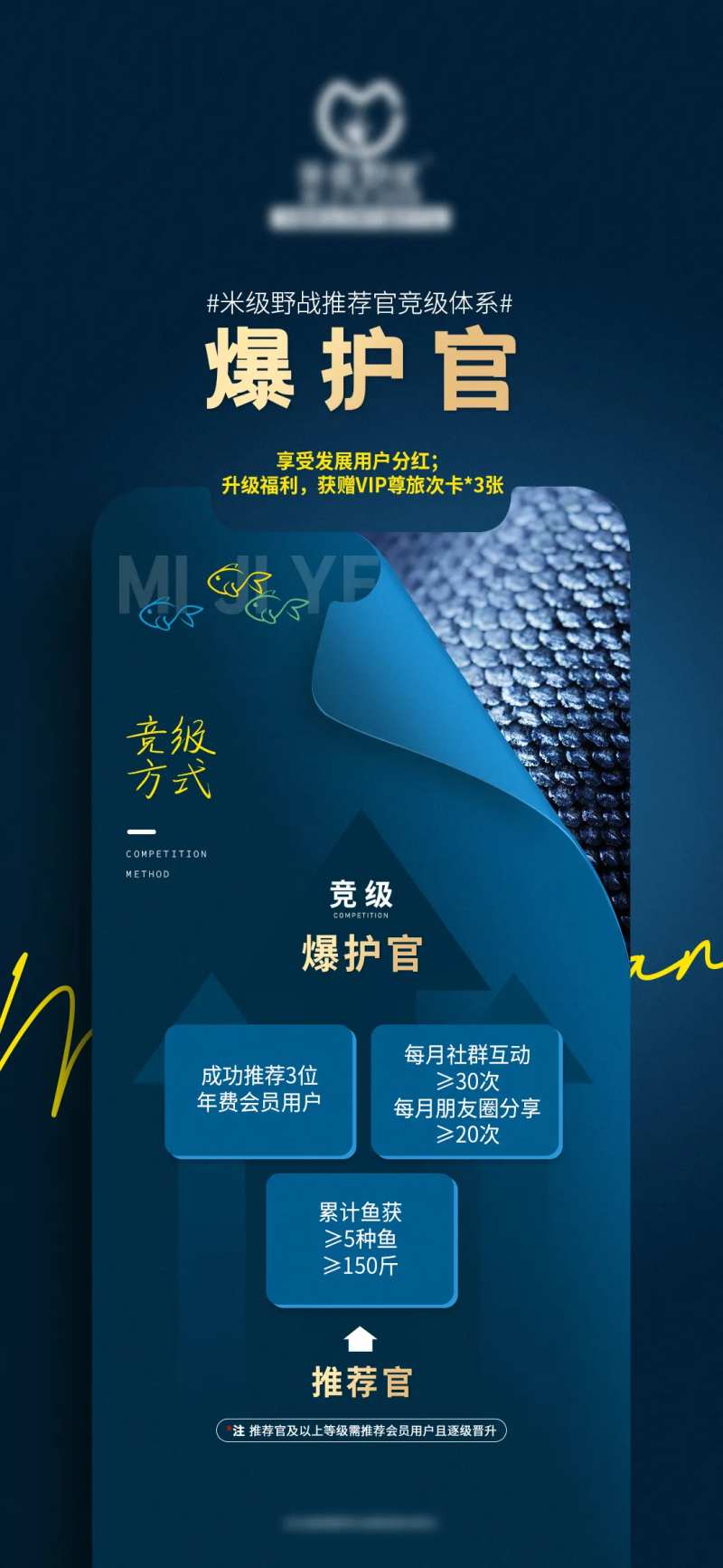 晋级体系-采灵感-cailinggan.com