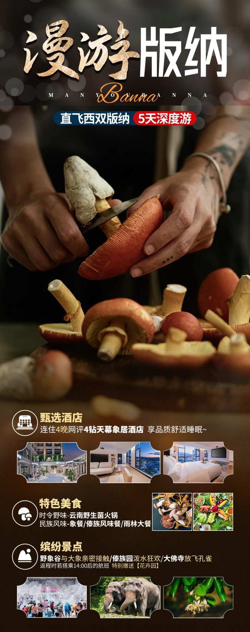 云南西双版纳旅游定制-采灵感-cailinggan.com
