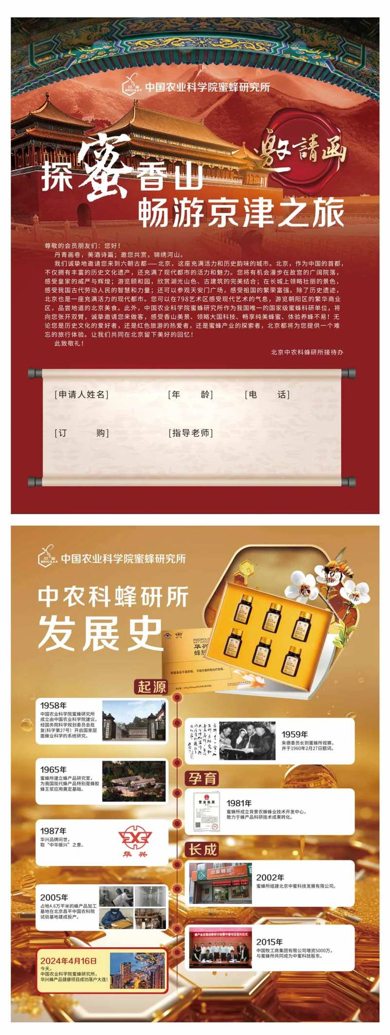 双面政策单-采灵感-cailinggan.com