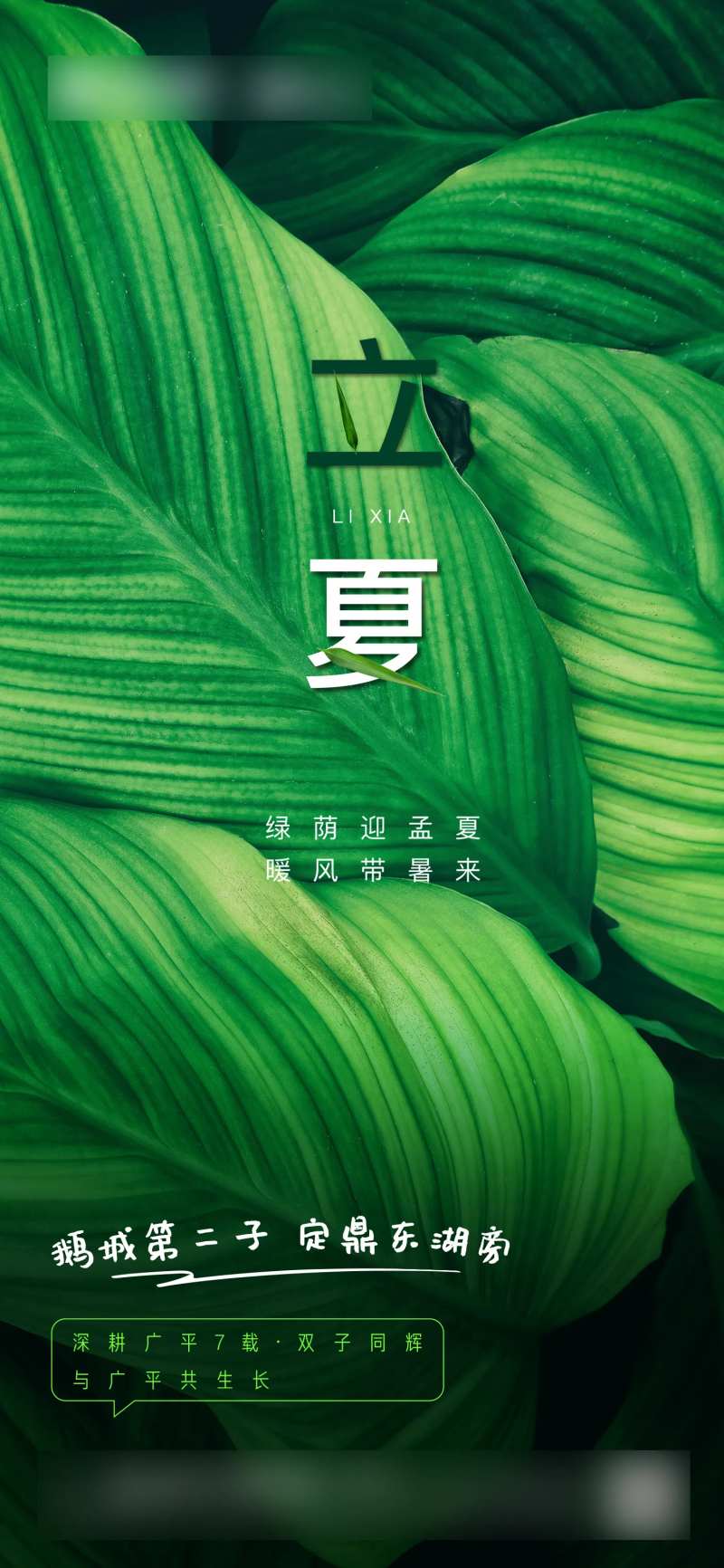 立夏海报-采灵感-cailinggan.com