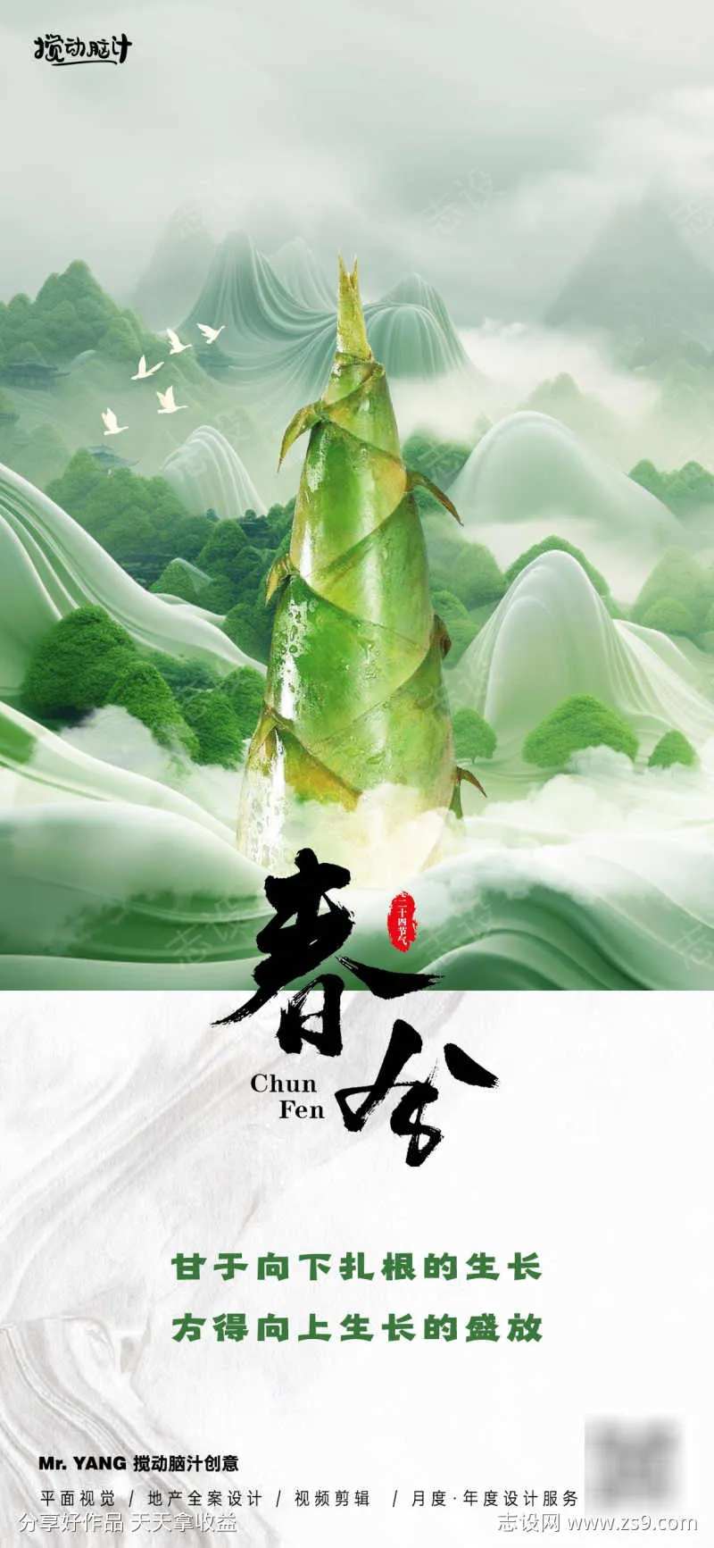 春笋春分节气海报-采灵感-cailinggan.com