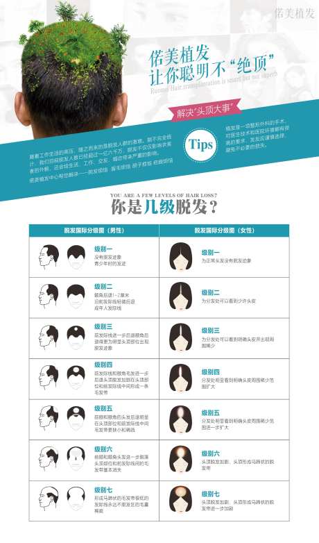 医美植发脱发等级海报-采灵感-https://www.cailinggan.com/