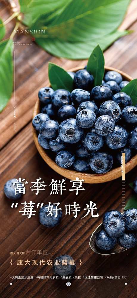 蓝莓采摘海报-采灵感-https://www.cailinggan.com/