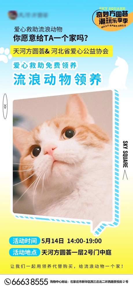 宠物领养日春日简约海报-采灵感-https://www.cailinggan.com/