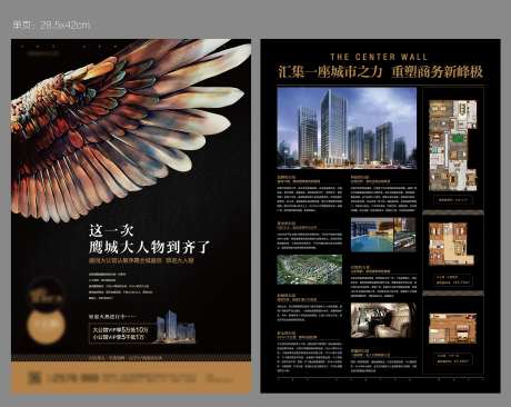大翅膀质感老鹰翅膀黑金单页-采灵感-https://www.cailinggan.com/