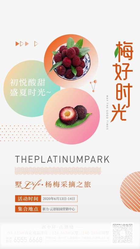 杨梅采摘活动宣传海报-采灵感-https://www.cailinggan.com/